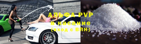 твердый Абаза