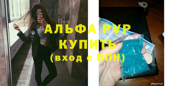 гашик Няндома