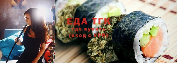 гашик Няндома