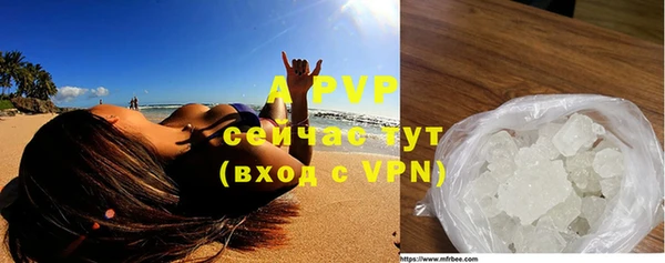 ГАЛЛЮЦИНОГЕННЫЕ ГРИБЫ Горняк